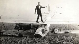 The Skywayman's poster