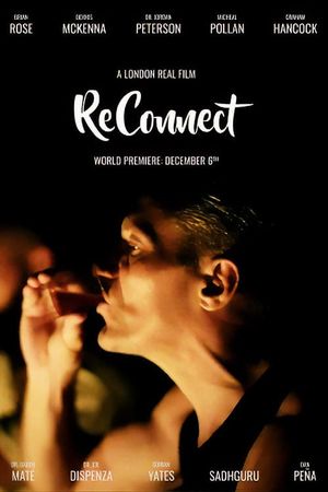 Reconnect's poster