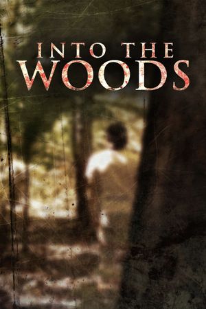 Into the Woods's poster