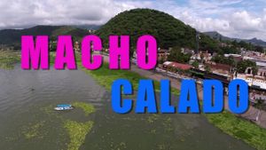Macho calado's poster