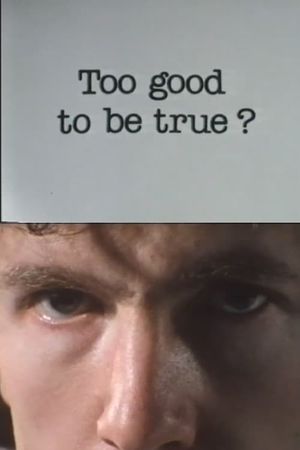 Too Good to Be True?'s poster