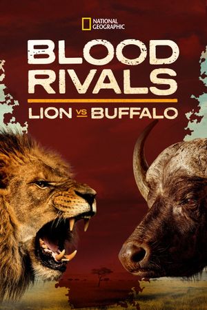 Blood Rivals: Lion vs Buffalo's poster
