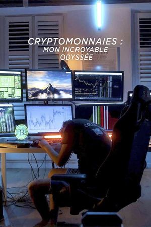Cryptomonnaies : mon incroyable odyssée's poster