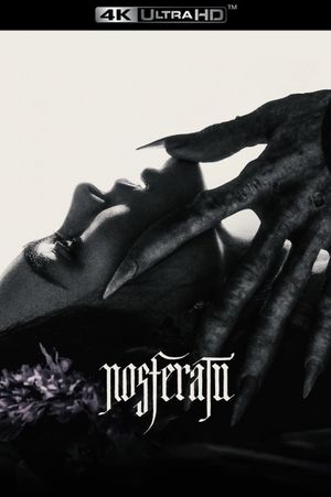 Nosferatu's poster