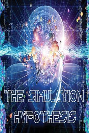 The Simulation Hypothesis's poster