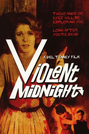 Violent Midnight's poster