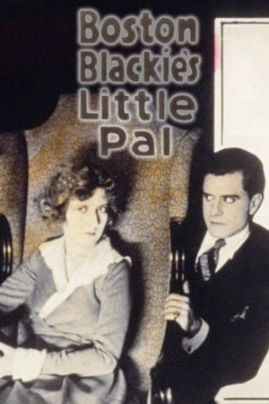 Boston Blackie's Little Pal's poster