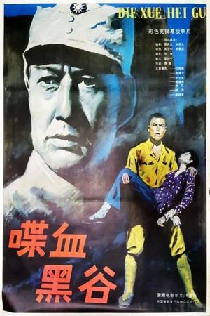 Secret Decree's poster
