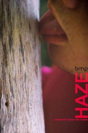 Haze's poster