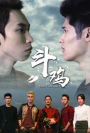 斗鸡's poster