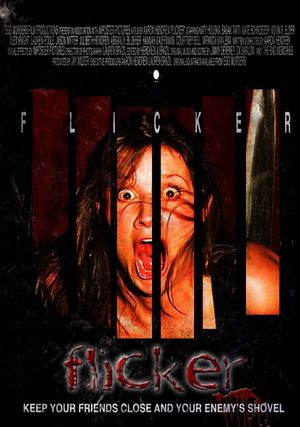 Flicker's poster