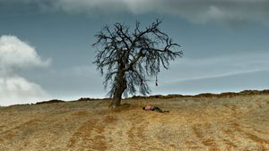 The Wild Pear Tree's poster