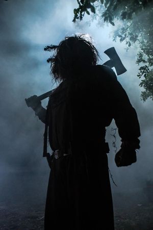 Lumberjack Man's poster