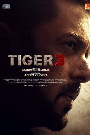 Tiger 3's poster
