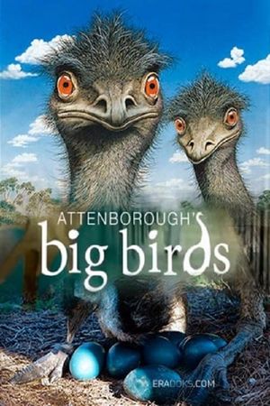 Attenborough's Big Birds's poster