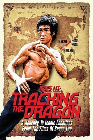 Bruce Lee: Tracking the Dragon's poster