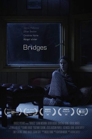 Bridges's poster