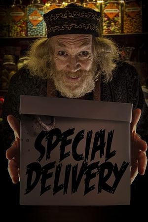 Special Delivery's poster