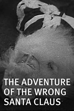 The Adventure of the Wrong Santa Claus's poster