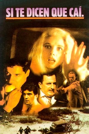 If They Tell You I Fell's poster