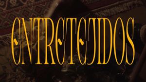 Entretejidos's poster