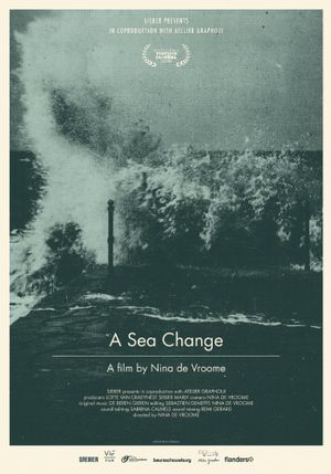 A Sea Change's poster