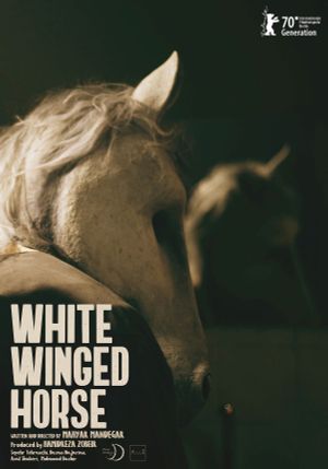 White Winged Horse's poster