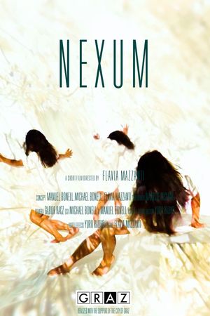 Nexum's poster