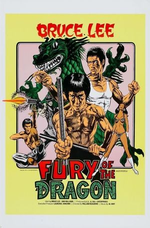 Fury of the Dragon's poster