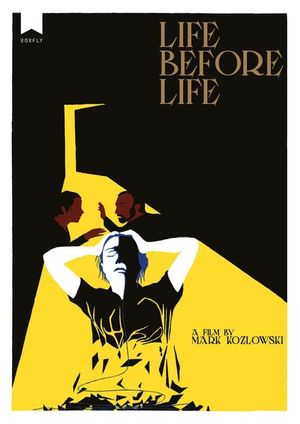 Life Before Life's poster