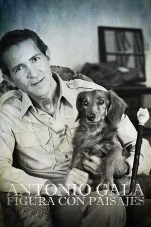 Antonio Gala: figura con paisajes's poster