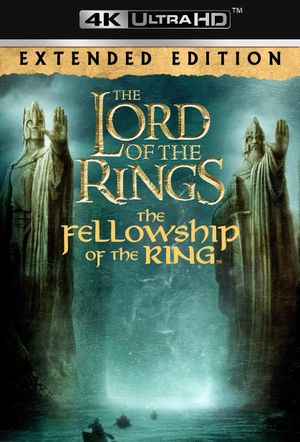 The Lord of the Rings: The Fellowship of the Ring's poster
