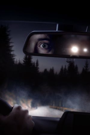 Alone's poster