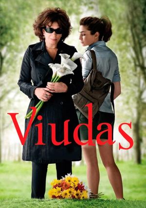 Widows's poster