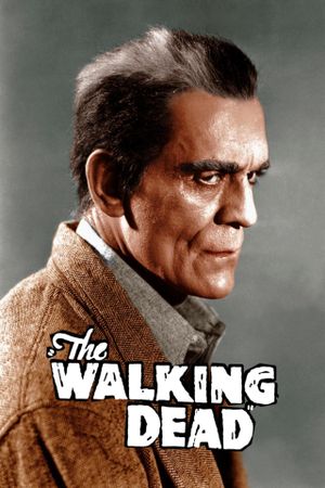 The Walking Dead's poster
