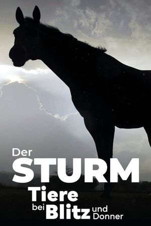 Der Sturm - Tiere bei Blitz und Donner's poster