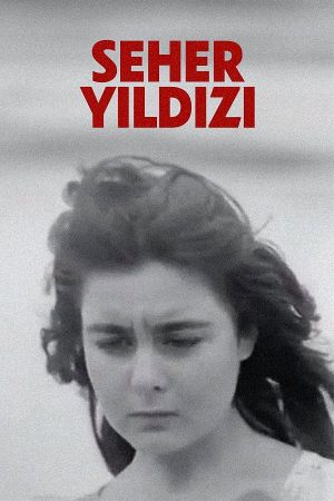 Seher Yildizi's poster