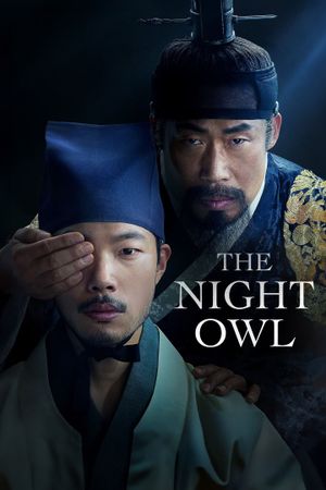 The Night Owl's poster
