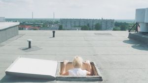 Woman on the Roof's poster