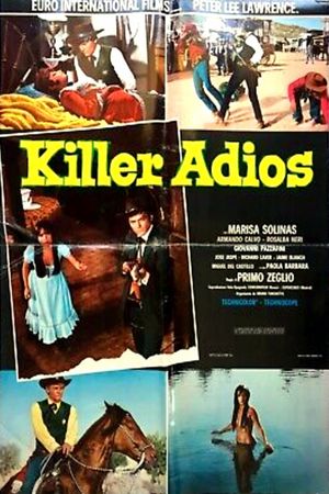 Killer Goodbye's poster
