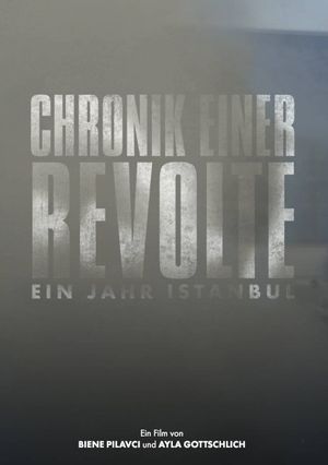 Chronik einer Revolte - ein Jahr Istanbul's poster