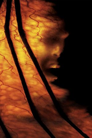 Jeepers Creepers 2's poster