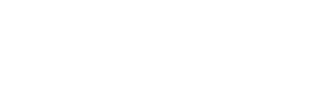 Wasp Network's poster