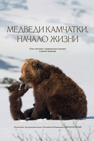 Kamchatka Bears. Life Begins's poster