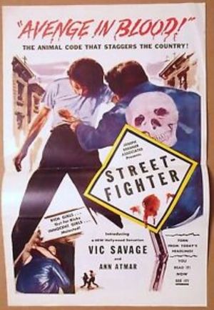 Street-Fighter's poster