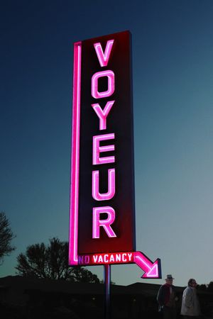 Voyeur's poster