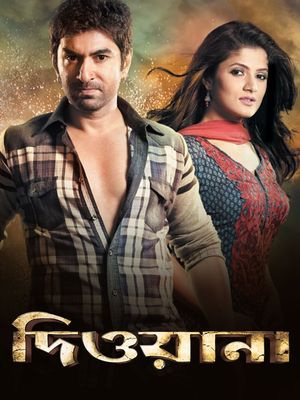 Deewana's poster