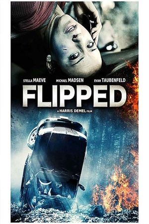 Flipped's poster