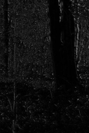 Phosphenes II's poster