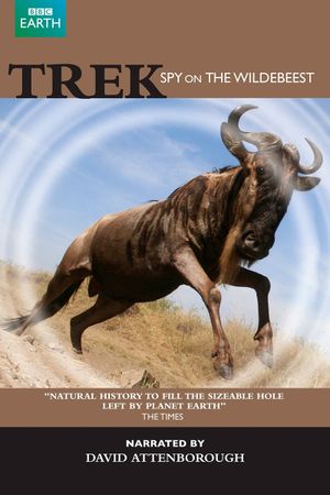 Trek - Spy on the Wildebeest's poster